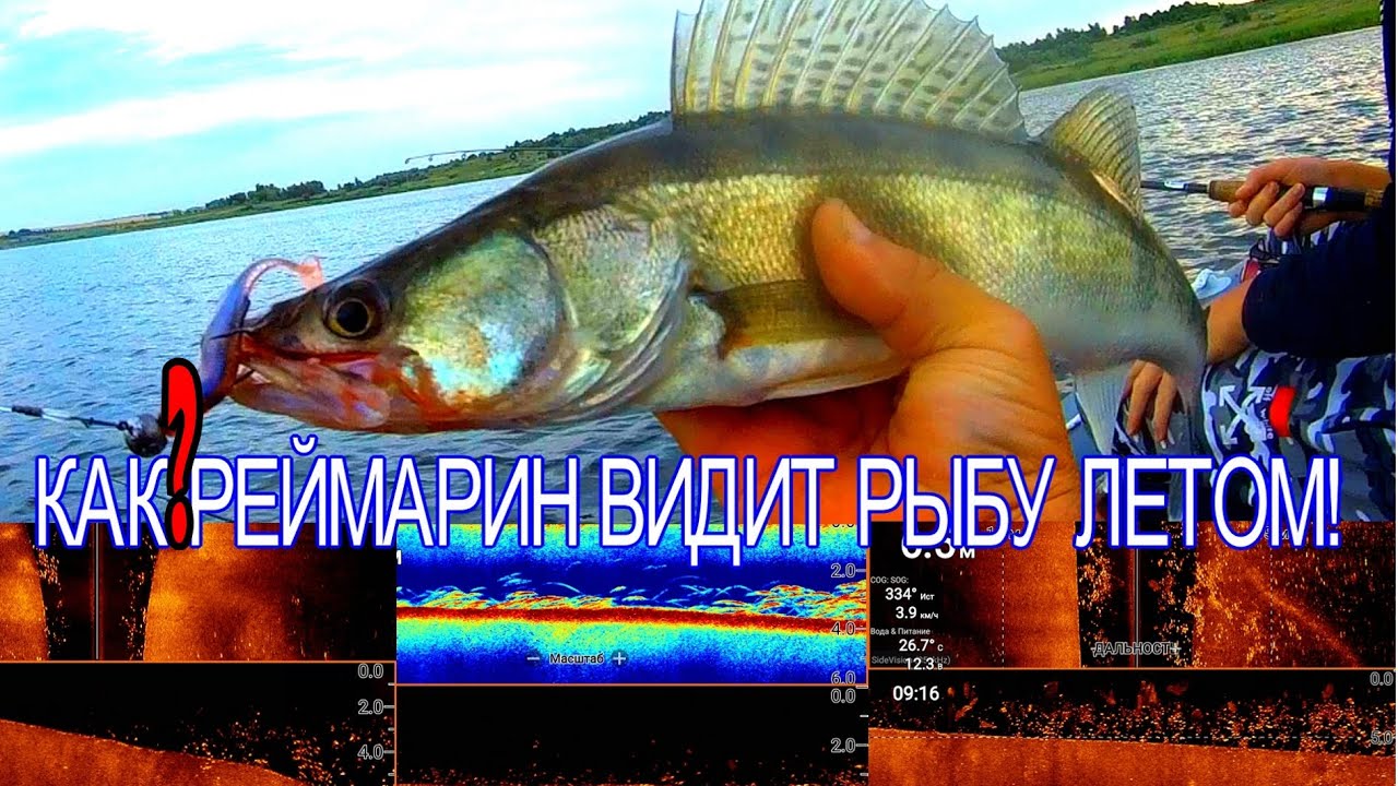 ГДЕ ИСКАТЬ СУДАКА В ЖАРУ?КАК ВИДИТ РЫБУ ЭХОЛОТ Raymarine Element 7  ЛЕТОМ?ГРОЗА ЗАСТАЛА В РАСПЛОХ
