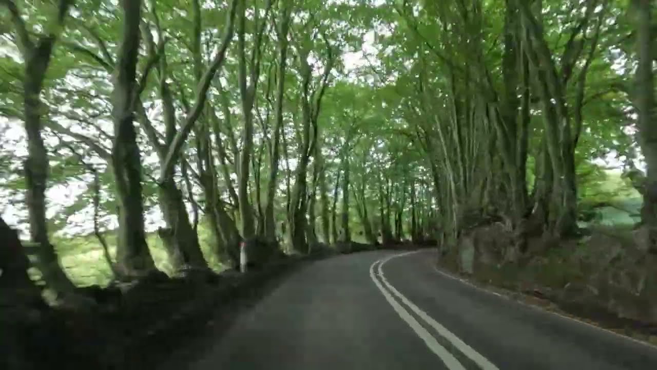 St Ive to Ashburton - AA Scenic Routes