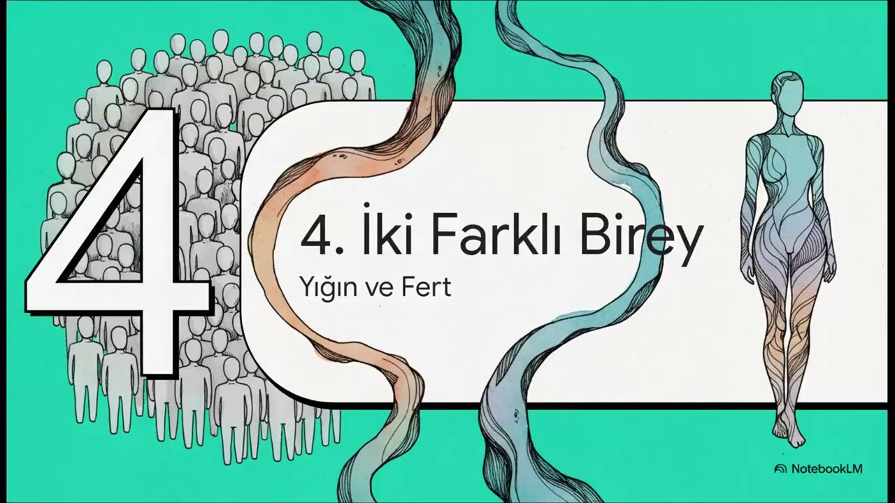 Anadolu Mayası