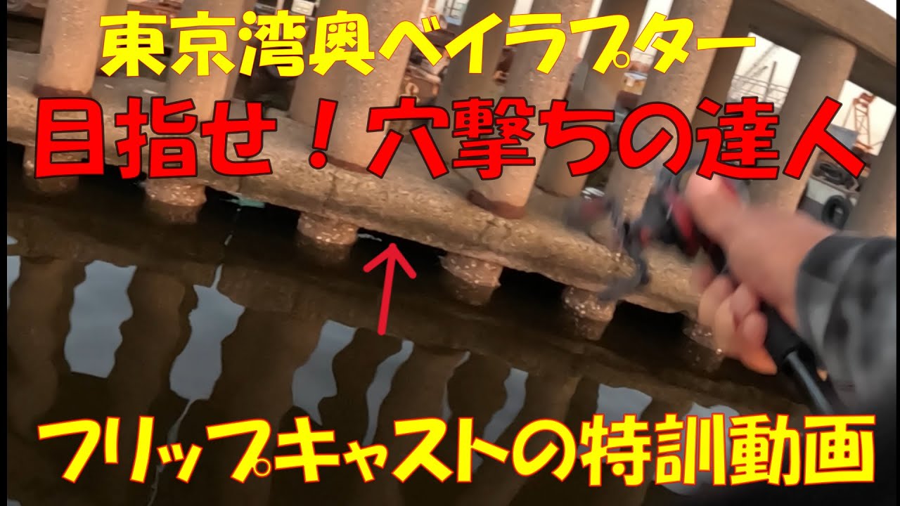 【東京湾ボートシーバス】穴撃ちの特訓動画です。穴撃ちの達人目指して頑張ります。　#ボートシーバス #フリップキャスト #アイパイロット #東京湾