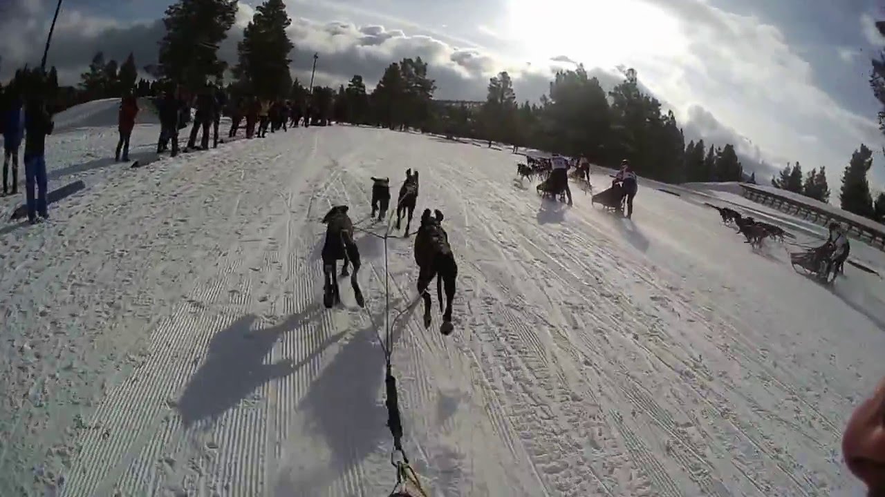 SP4 mass start Savalen 2016 - JIŘÍ SUCHÝ