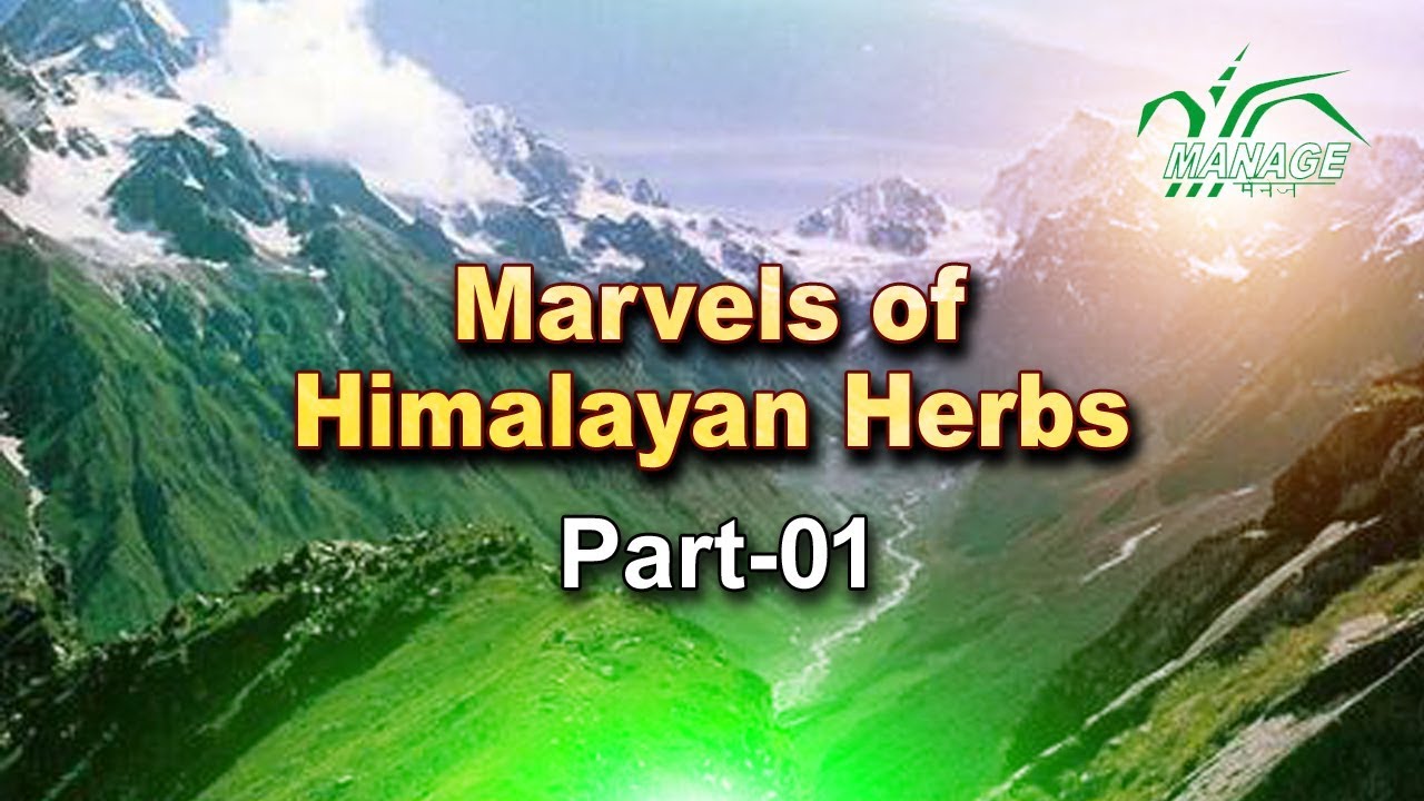 Marvels of himalayan herbs part 01