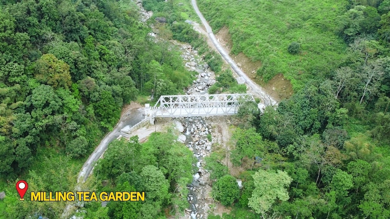 New Bridge New Attraction Of Milling Tea Estate||RJ Sagar