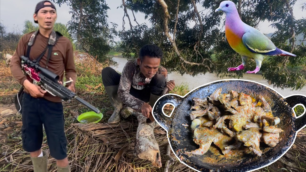 Hunting punai mencari menu sahur dihutan⁉️sahur dan buka puasa di hutan