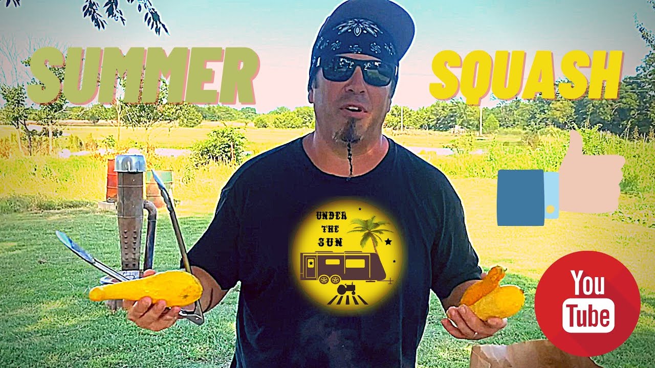 How To Make Summer Squash Soup