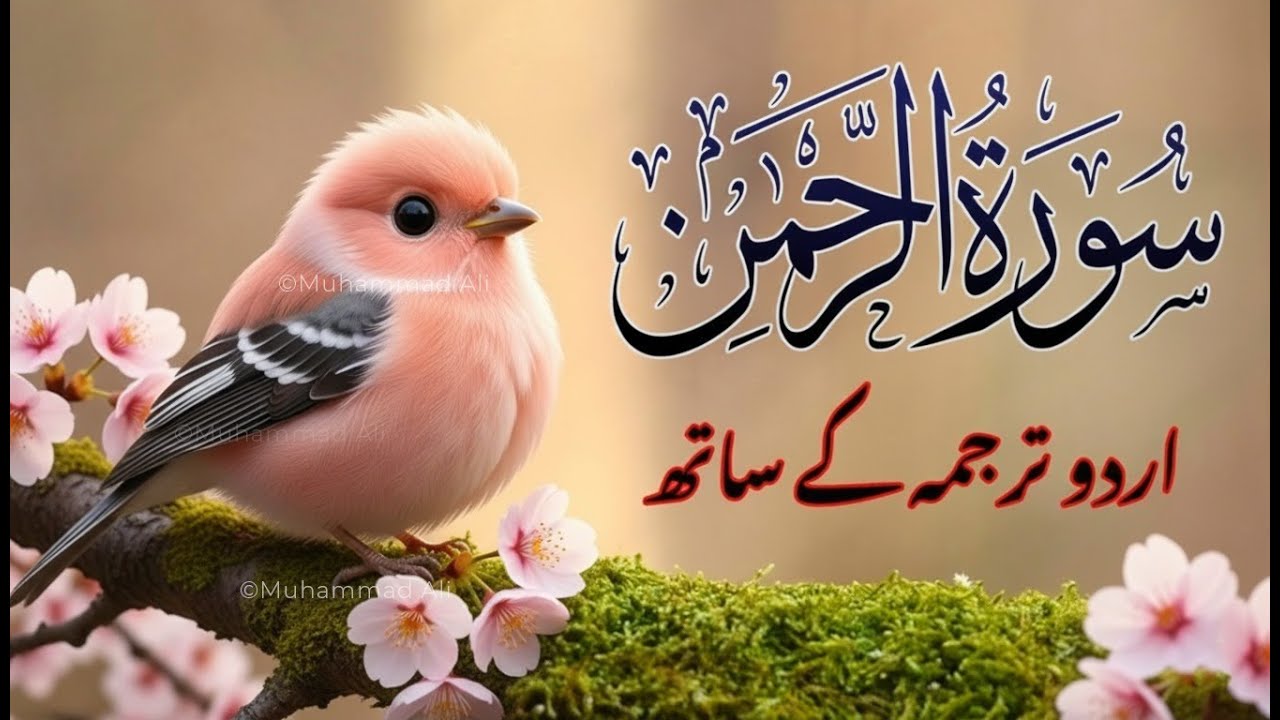 Surah Rahman Urdu Tarjuma k Sath | Qari Al Sheikh Abdul Basit Abdul Samad | MD Quran Tilawat