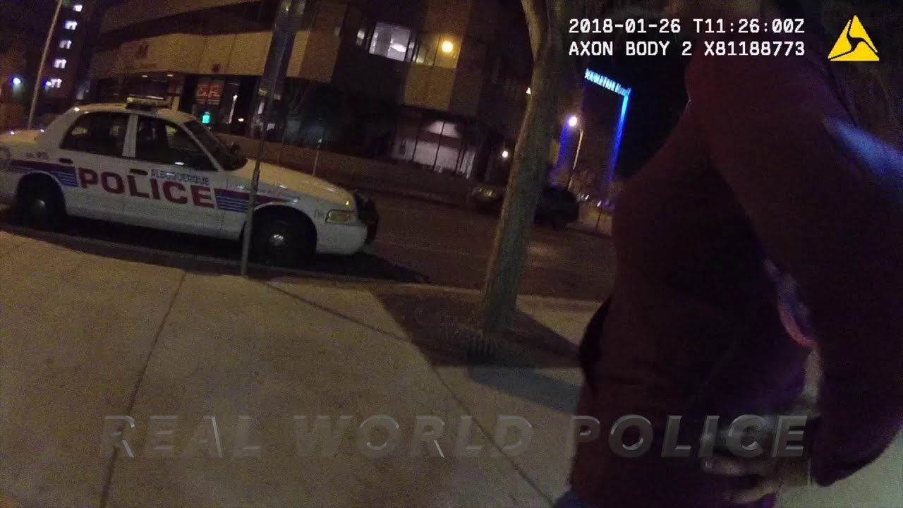 Real World Police: DWI & Five Counts of Felony Child Abuse (Preview)