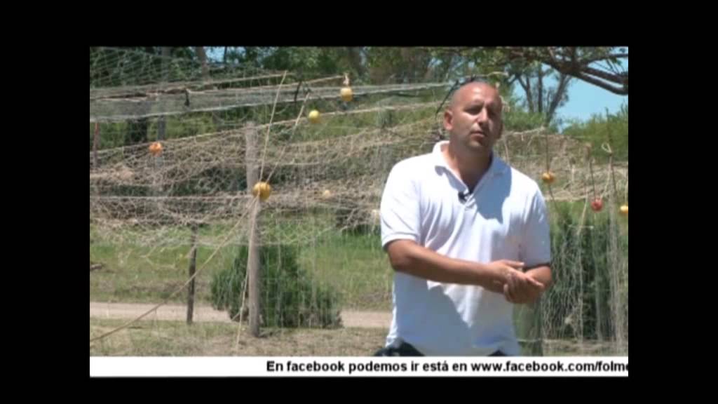 Una estación para recuperar los peces del río Paraná