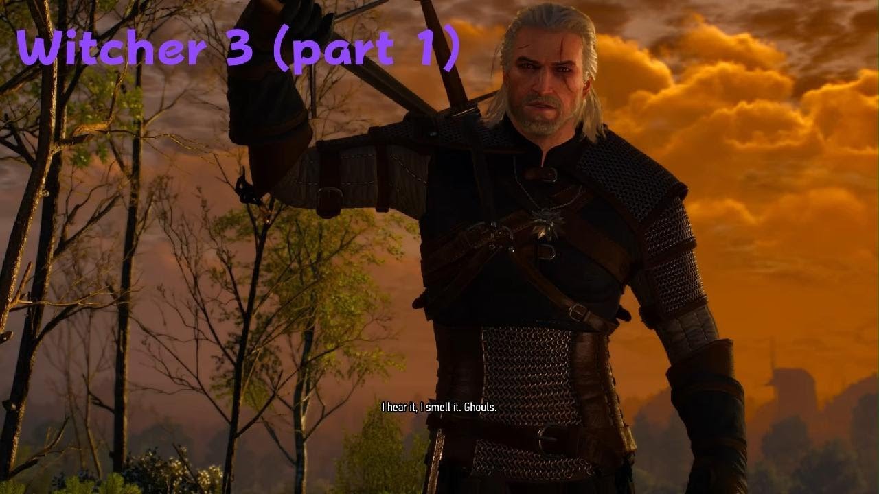 The Witcher 3 (PART 1)