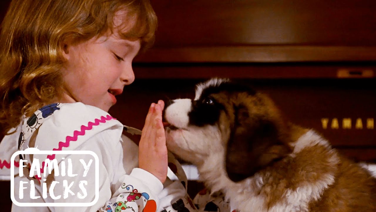 Beethoven Chooses A Name | Beethoven (1992) | Family Flicks
