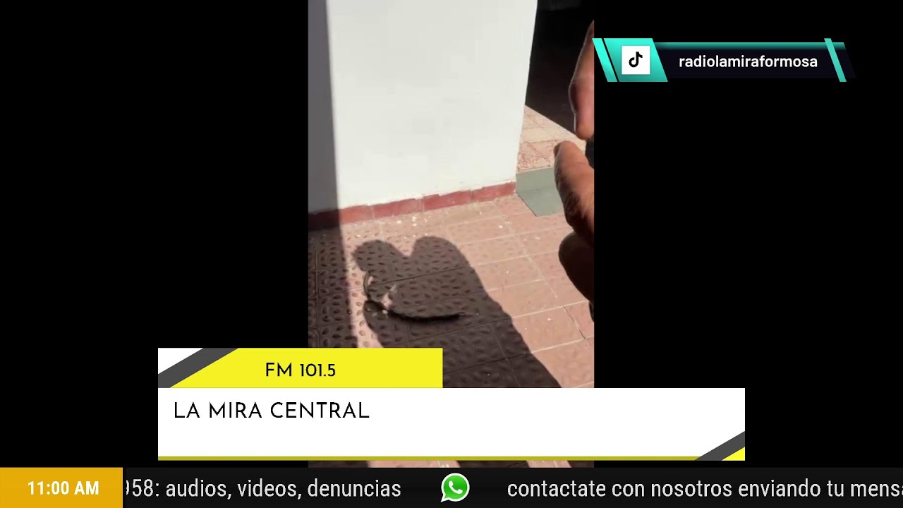 📢LA MIRA CENTRAL 2026 👉 📻101.5 FM - La Mira 💻www.radiolamira.com.ar📲 App FM La Mira Formosa