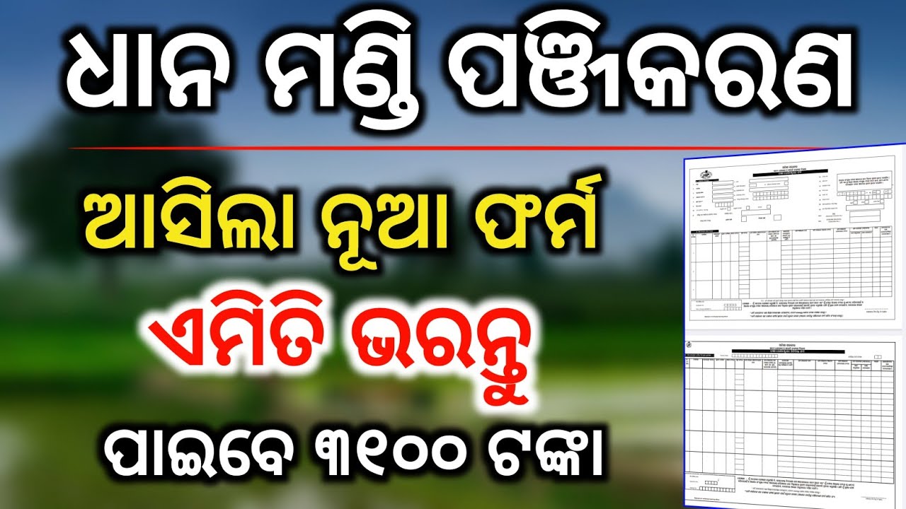 ଧାନ ମଣ୍ଡି ପଞ୍ଜିକରଣ ପାଇଁ ନୂଆ ଫର୍ମ ଭରନ୍ତୁ✅Dhana mandi registration form fill up/Farmer registration 