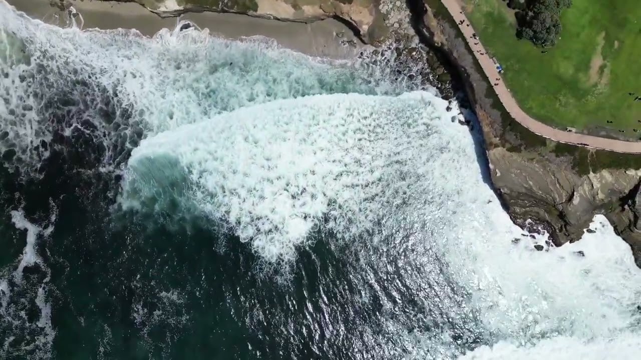 샌디에고 라호야코브 드론뷰 2024.06