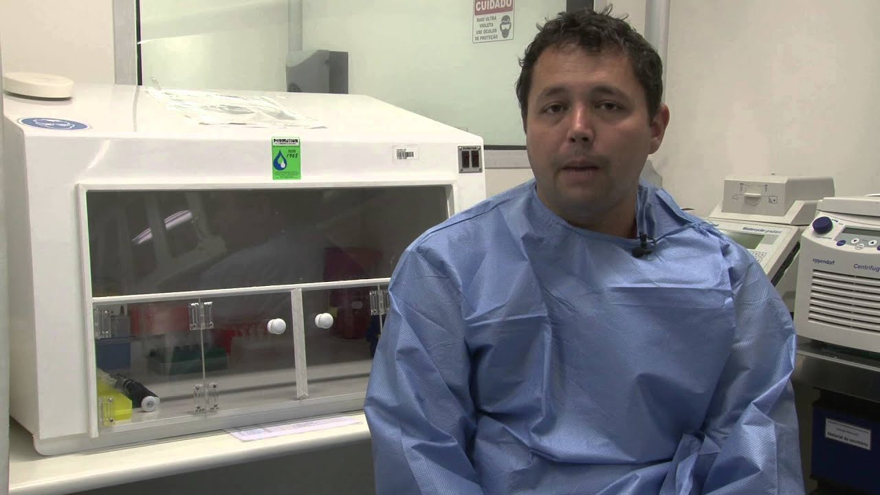 Módulo 2 | Biologia do Aedes aegypti