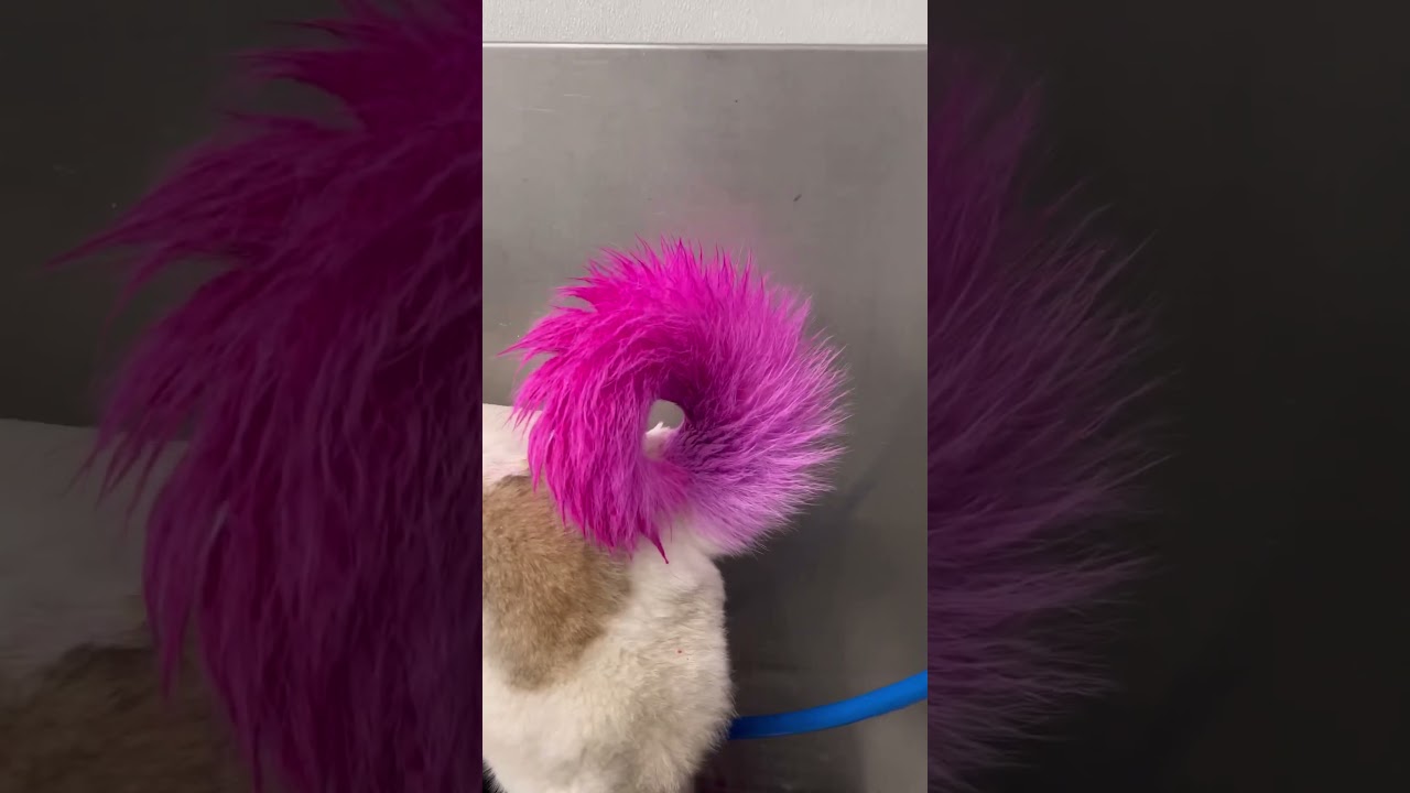 Cutie mark!