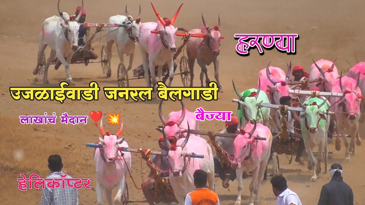 उजळाईवाडी जनरल बैलगाडी बक्षीस 1 लाख रु टोपकर बैज्या प्रथम 2 आरग जर्षि 3 हेलिकॉप्टर बैज्या #sharyat