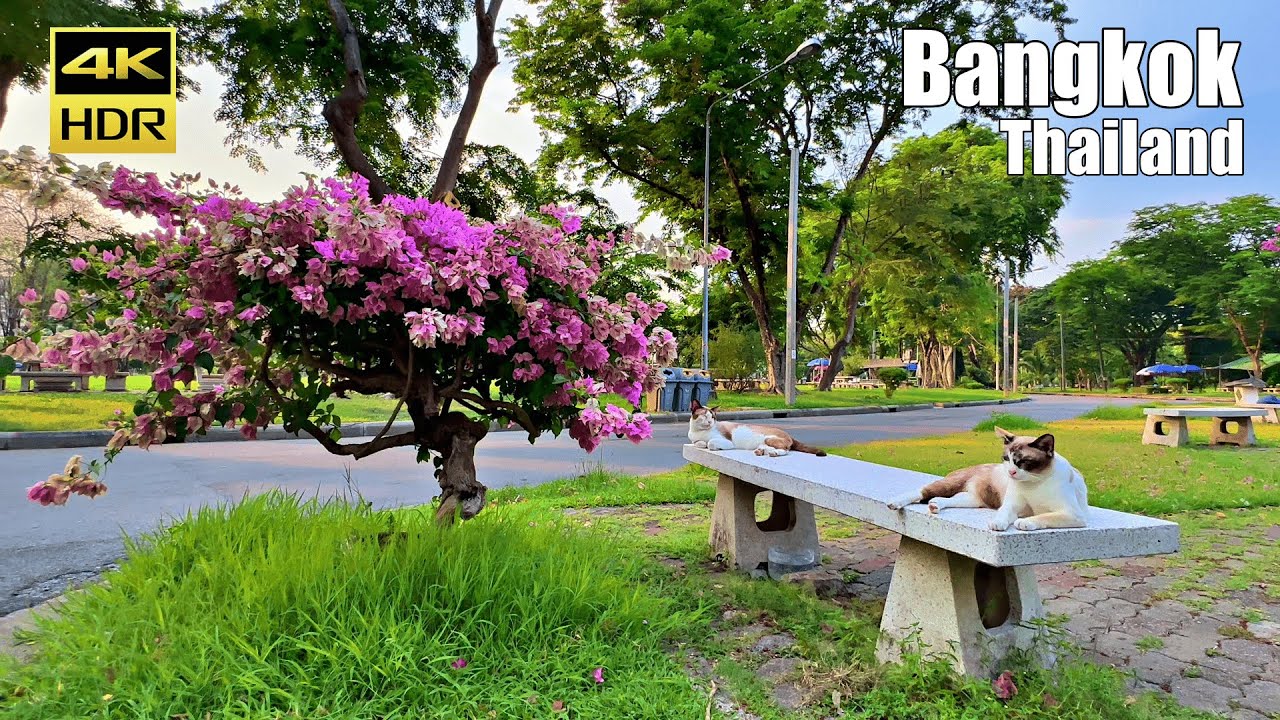 Relaxing Walk in Lumpini Park - Bangkok, Thailand 2023 [4K HDR]