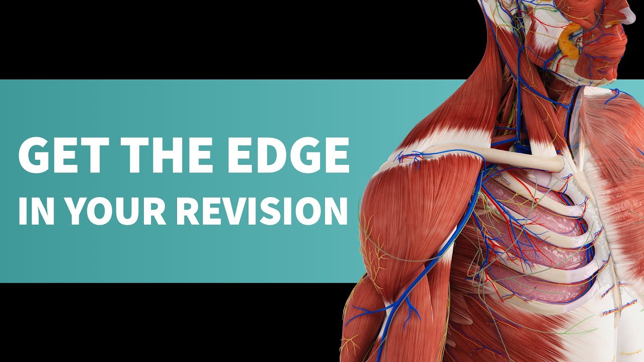Studying the skeletal muscles with Complete Anatomy