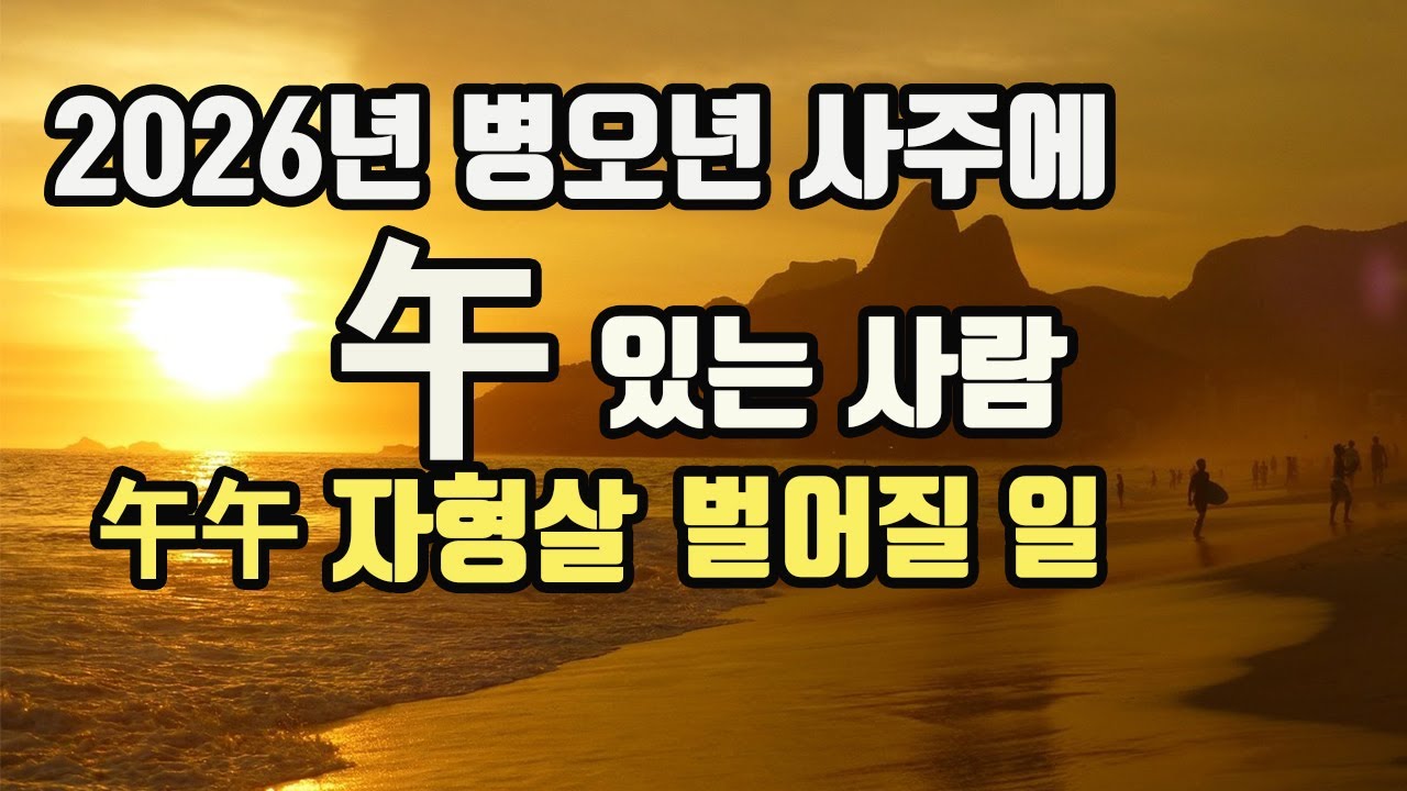 2026년 병오년 오화있는사람 주목 일간별 벌어질일#2026년병오년오화#오오자형살