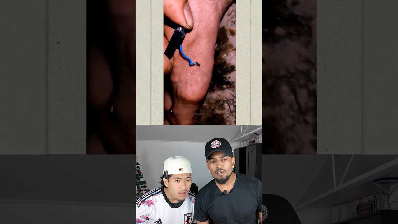 Подождите...💀 