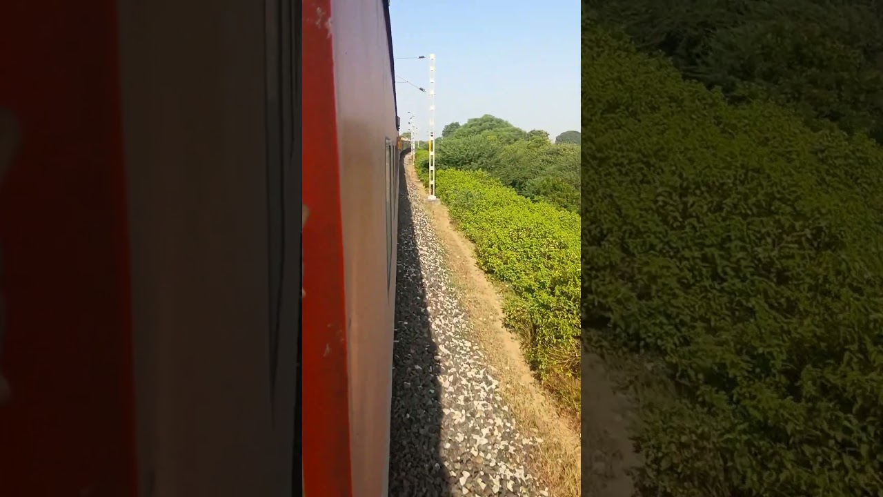 #shortvideo