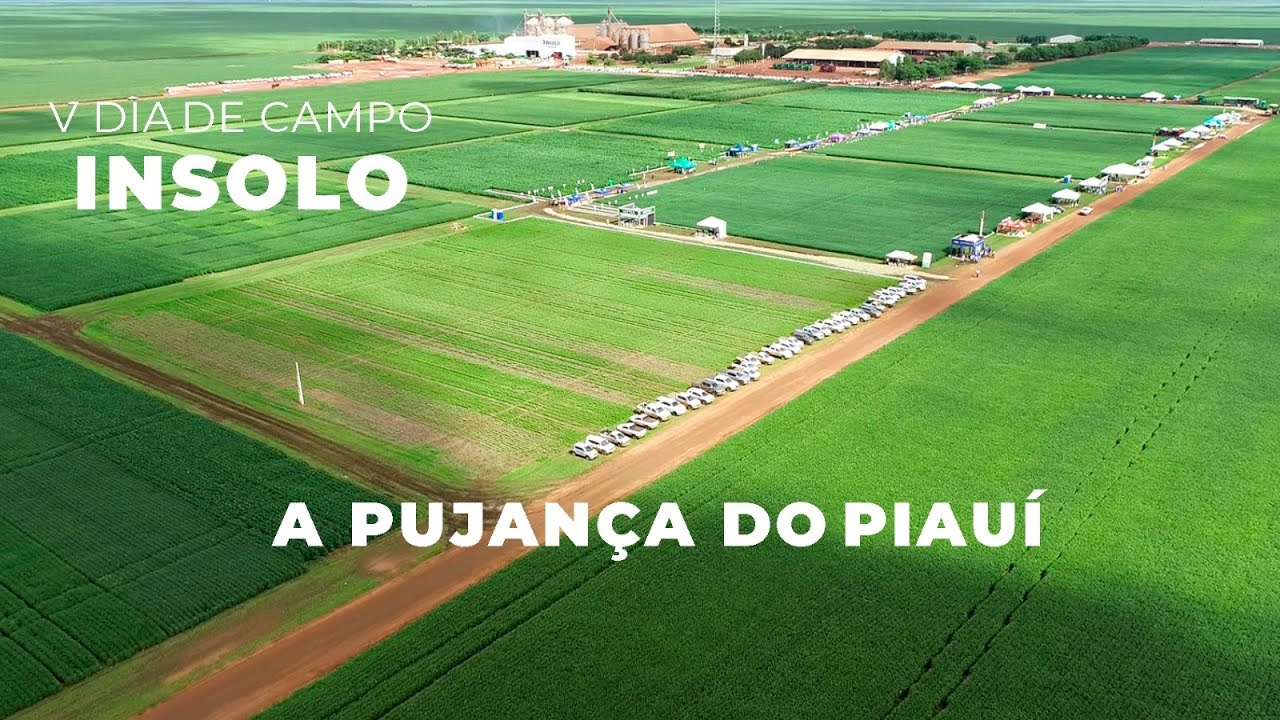 5° Dia de Campo INSOLO