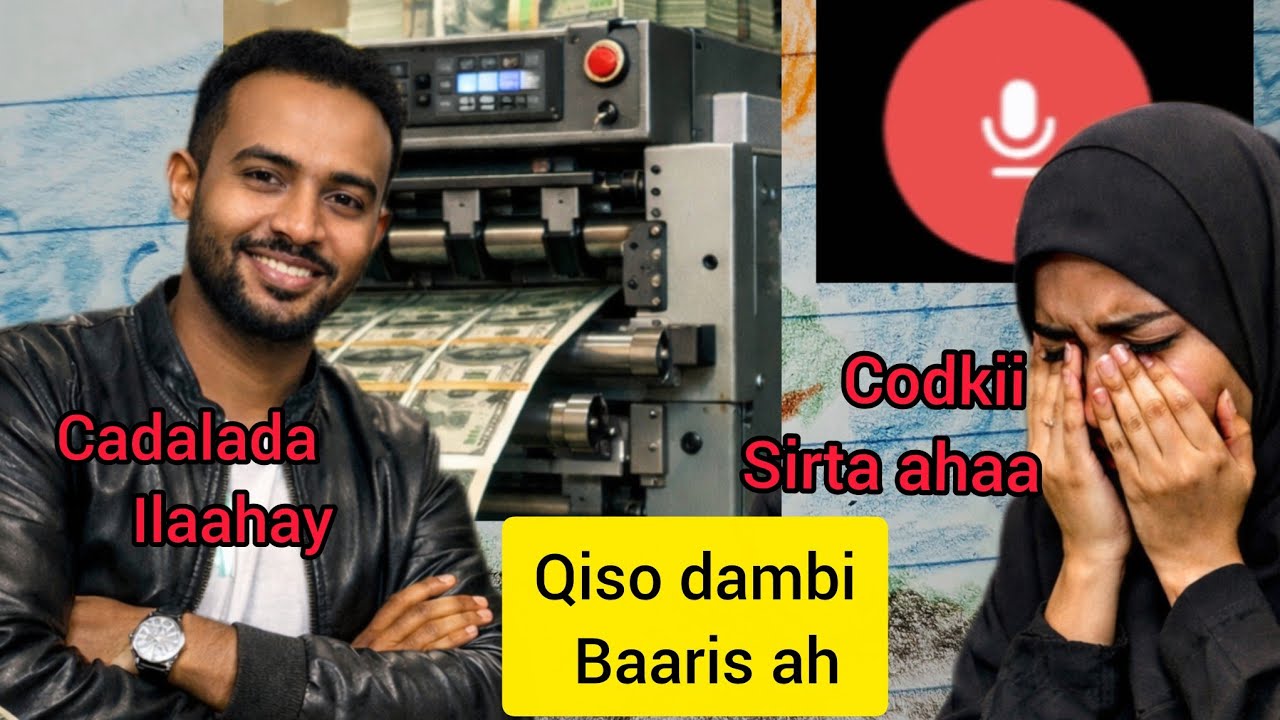 Qiso dambi baaris ah