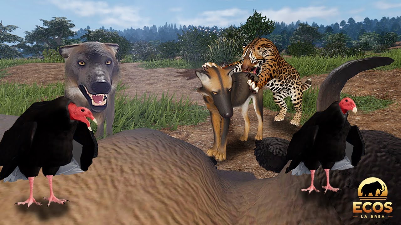 Охота волчьей стаи на стервятников прервана прайдом смилодонов! | Roblox Ecos: La Brea