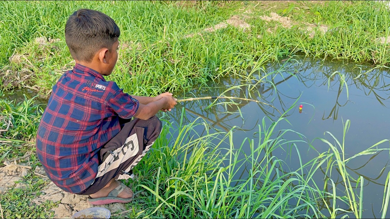 Little boy hunting catching koi fish by hook ~ Traditional hook fishing in the village canal 🥰🥰
