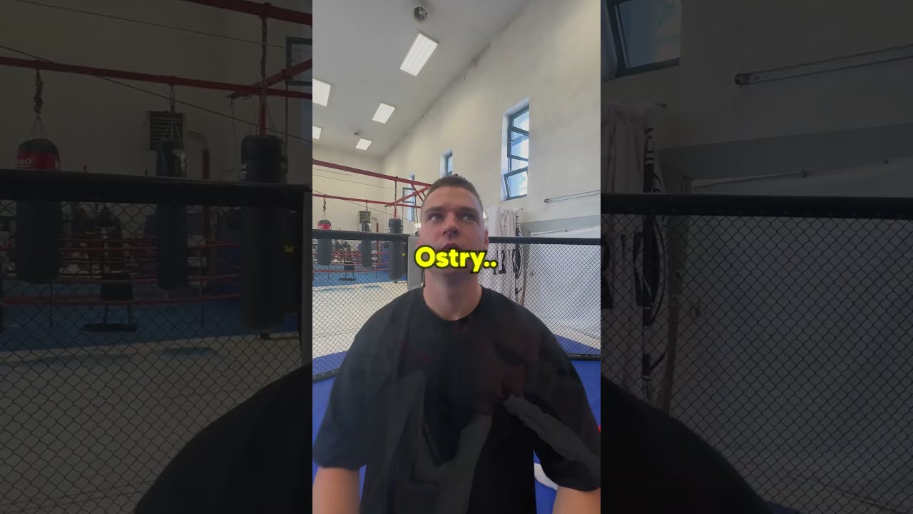 ostry bokser