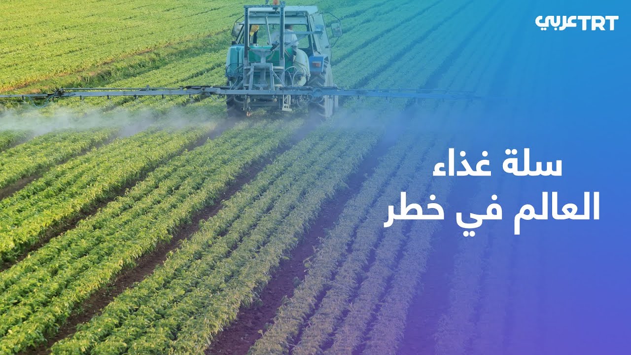 المعارك في أوكرانيا تعطل الزراعة في مساحات شاسعة من الأراضي