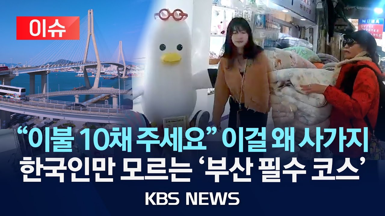 [이슈] 외국인 눈에 부산은?…타이완 관광객의 하루/2025년 12월 3일(수)/KBS