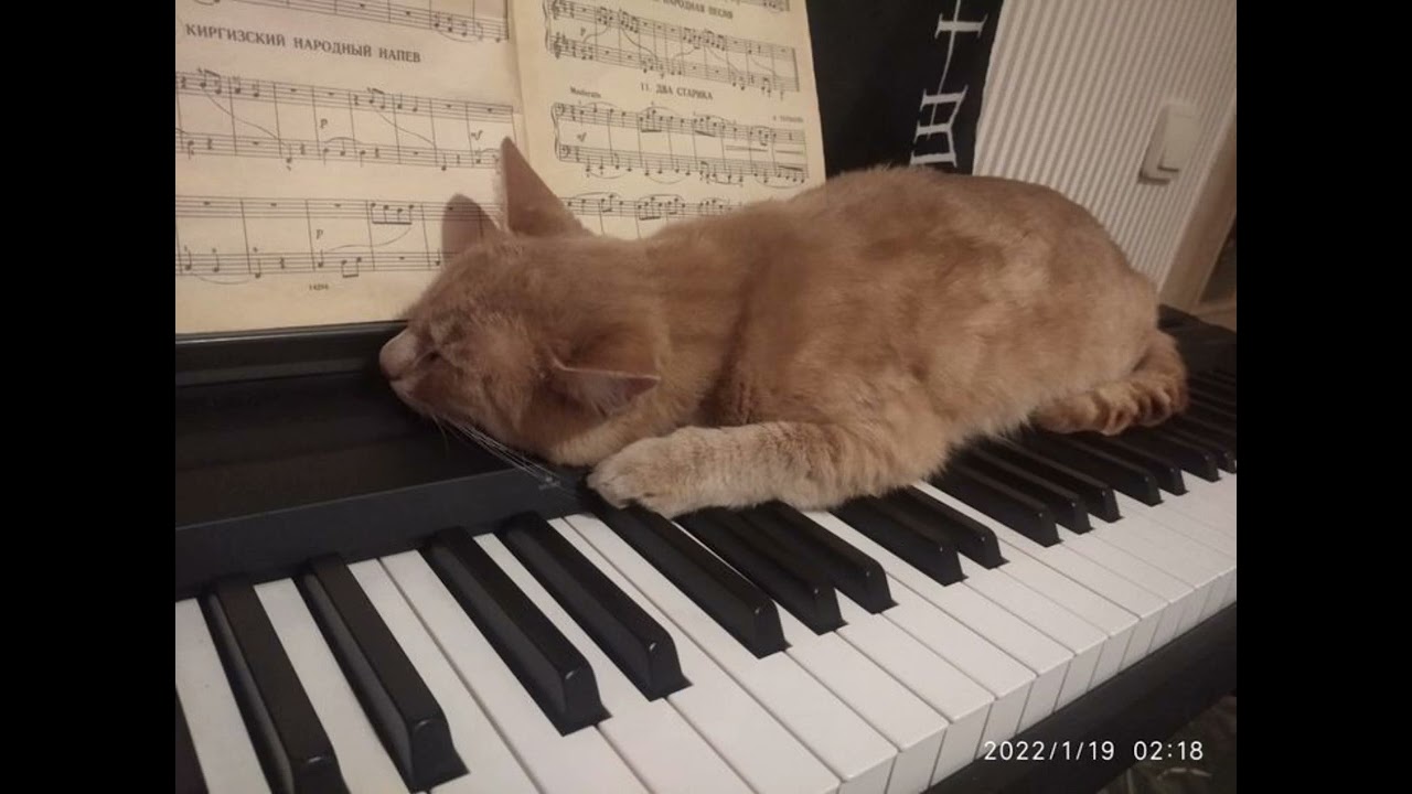 Fly Me To The Moon 🌙 (Piano Cover) 1 Hour Version
