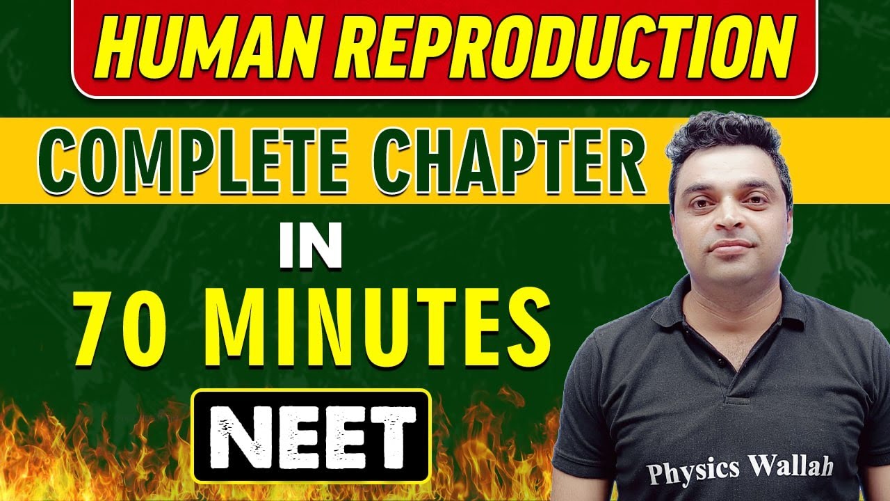 HUMAN REPRODUCTION in 70 minutes || Complete Chapter for NEET