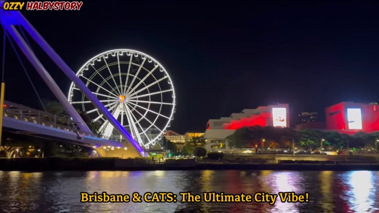 Queensland Tour Guide.#australiatourism #beach #travel #oceanview #drone