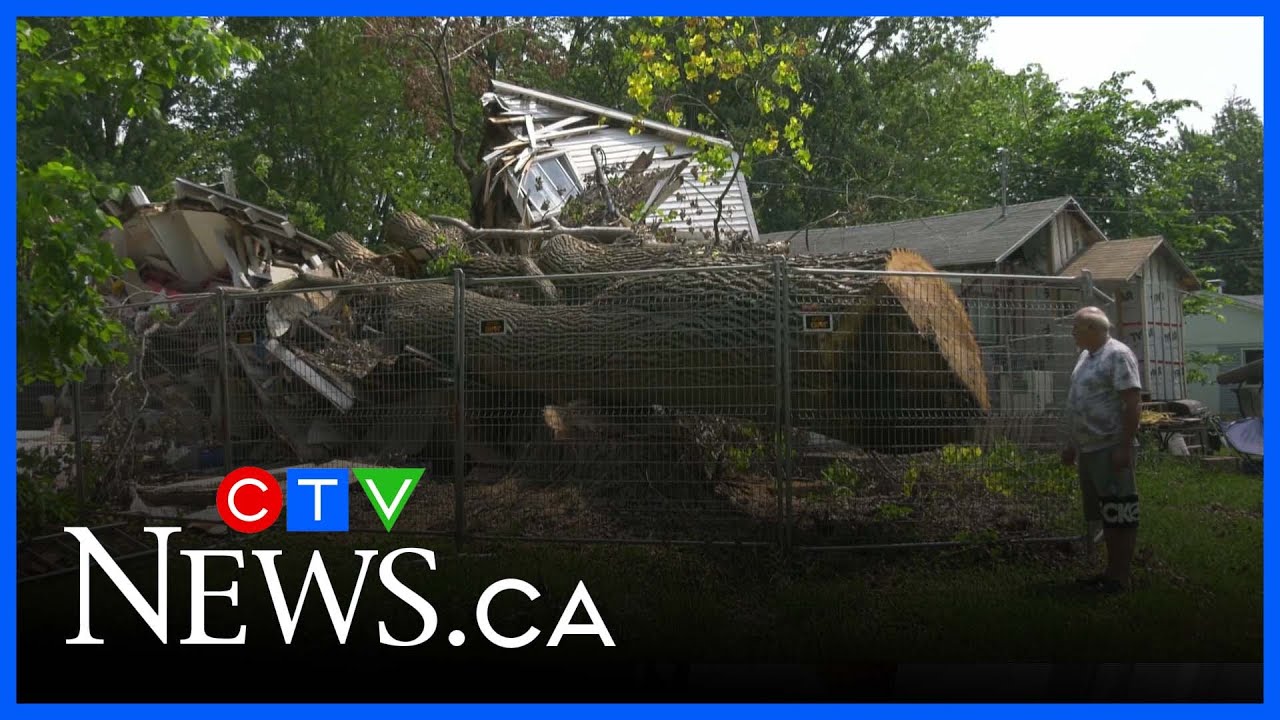 Community rallies behind Quebec man whose home was destroyed by falling tree
