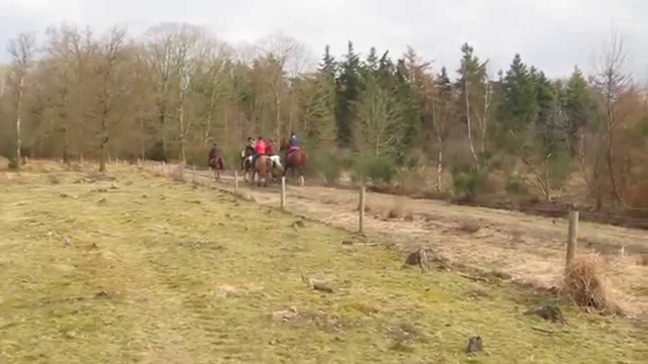Manege Knollegruun, Schoonloo, Drenthe