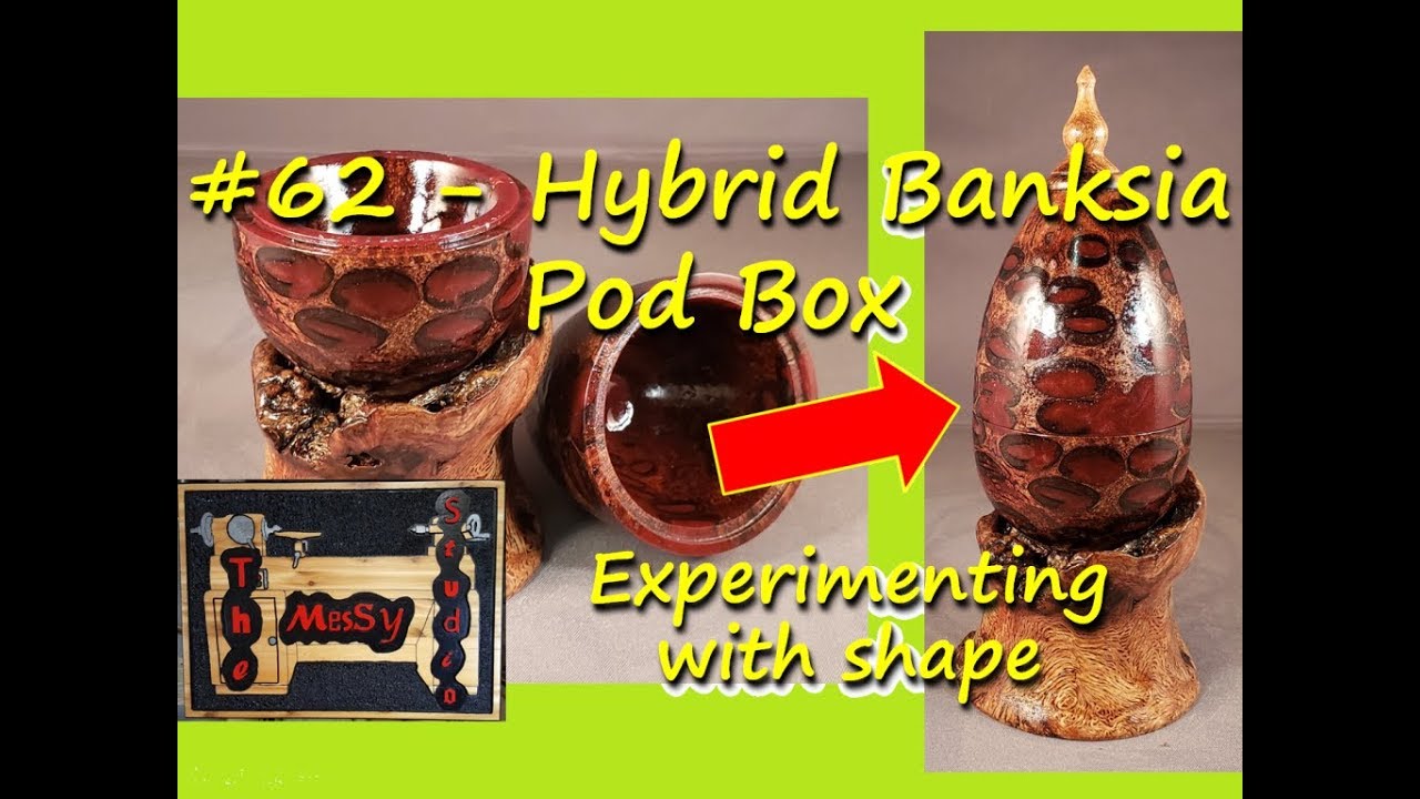 #62 - Hybrid Banksia Pod Box - Experimenting with shape