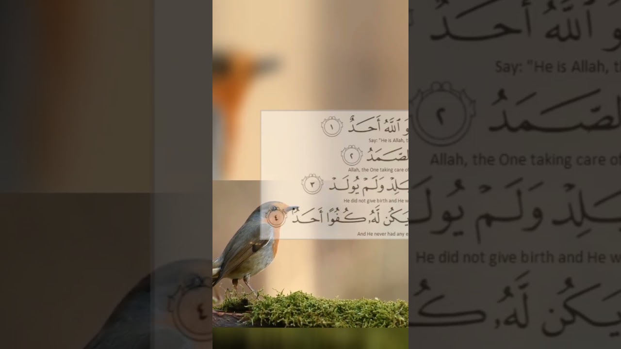 #islam