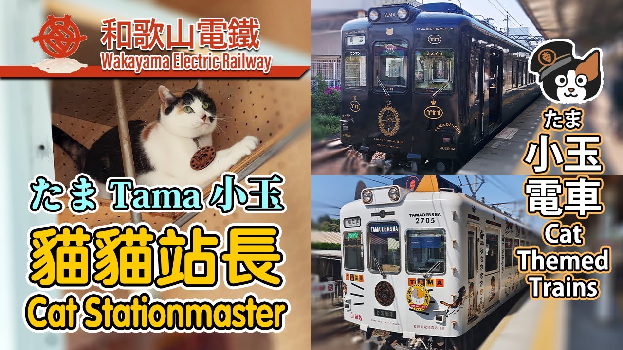 🐈🚆 Named after the cat that saved the railway! Tama Train (Wakayama Railway) in Japan 和歌山電鐵