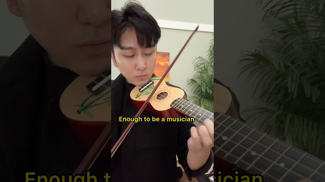 Скрипка за 1 доллар против 10 000 долларов&hellip; #aylex #скрипка #скрипач #скрипач #кавер на скрипку #...