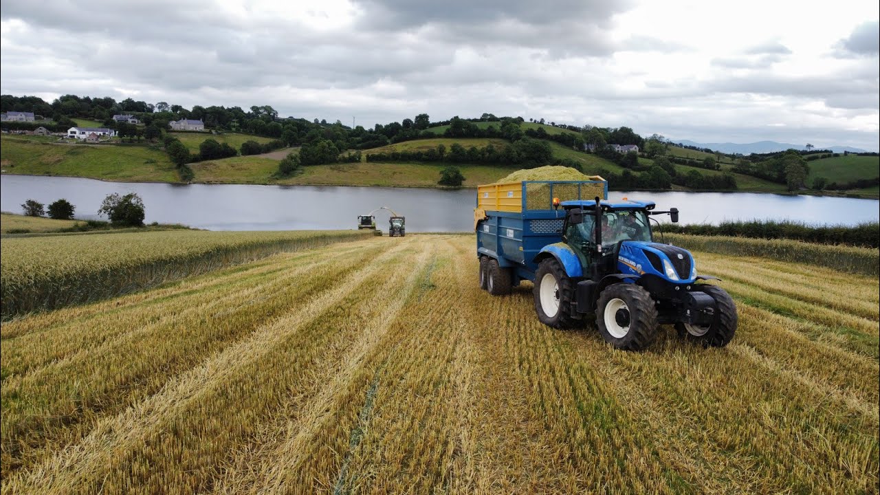 Wholecrop Rye Harvest 2021-D&S Mcmurran