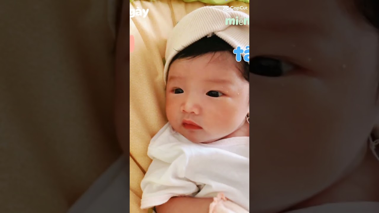 Ầu ơi d&iacute; dầu c&aacute;nh hoa h&eacute;o t&agrave;n #tiktok #lynguyen