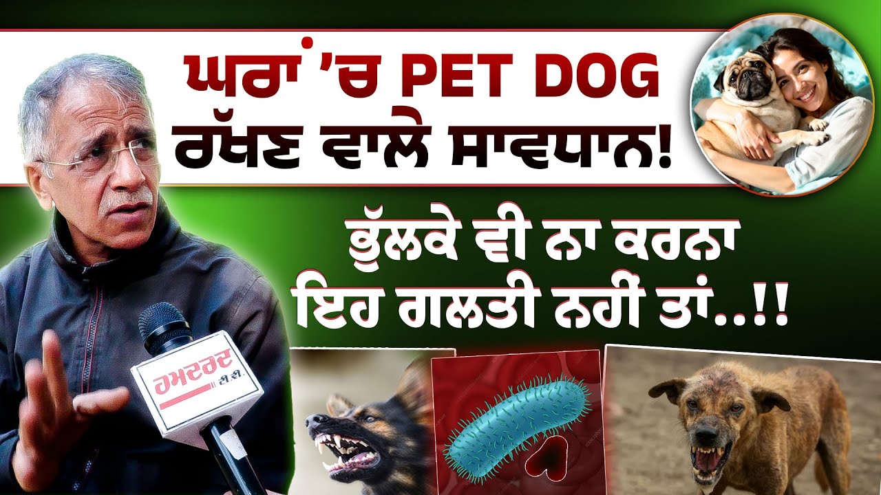 ਘਰਾਂ ’ਚ Pet Dog ਰੱਖਣ ਵਾਲੇ ਸਾਵਧਾਨ! ਭੁੱਲਕੇ ਵੀ ਨਾ ਕਰਨਾ ਇਹ ਗਲਤੀ ਨਹੀਂ ਤਾਂ……