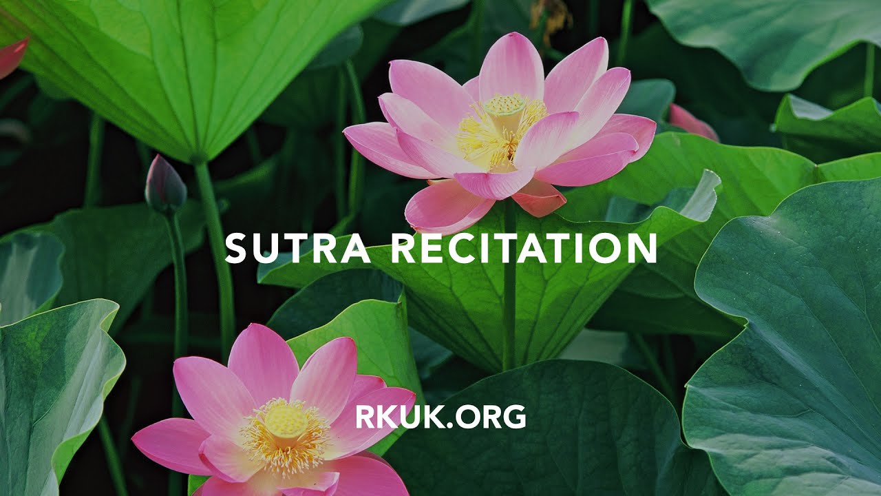 Sutra recitation - English | The Lotus Sutra for 30 minutes with daimoku
