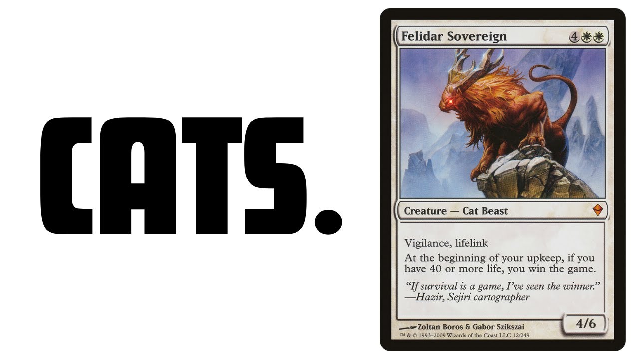 What Are The Best CATS In MTG?