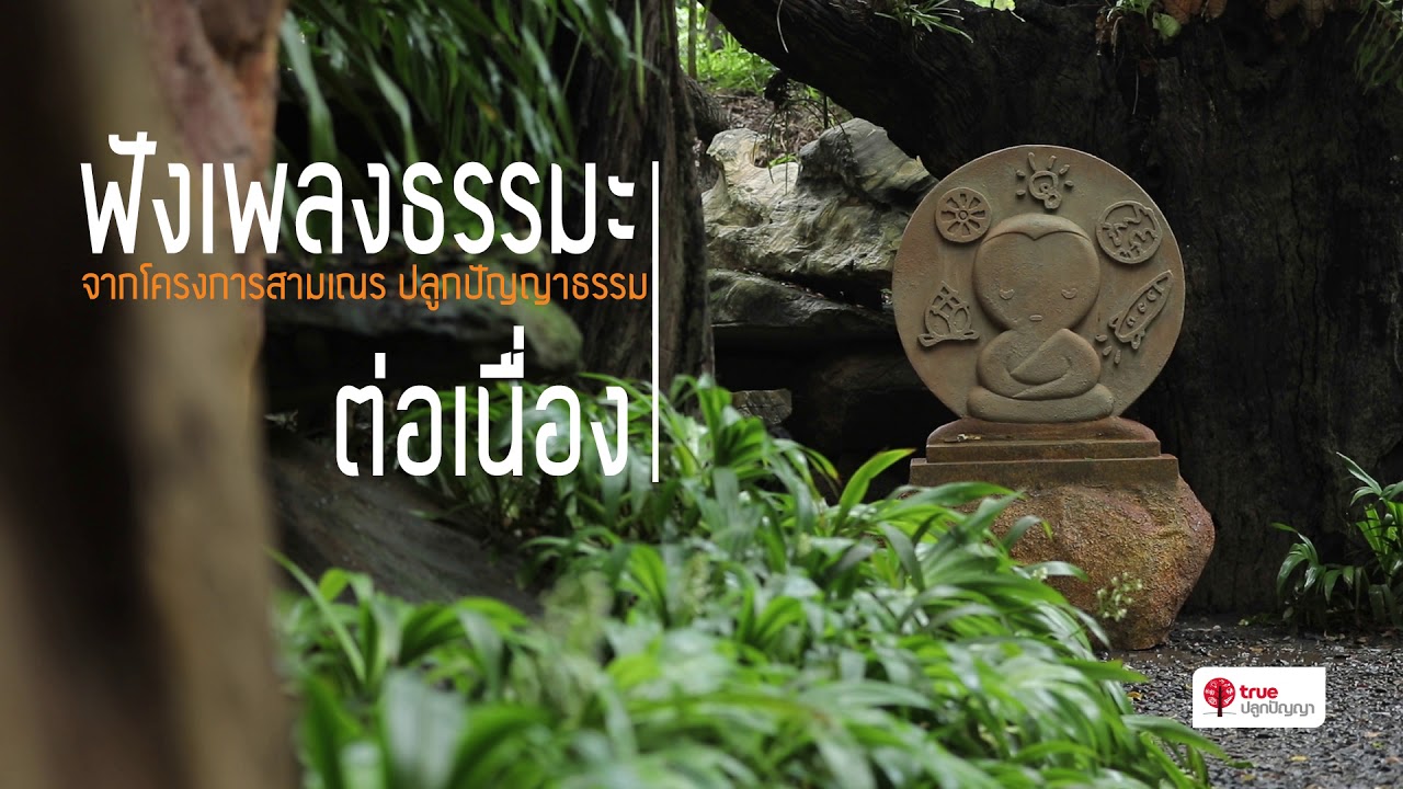 ฟังเพลงธรรมะต่อเนื่อง ดนตรีเพื่อสมาธิ  | Meditation Music