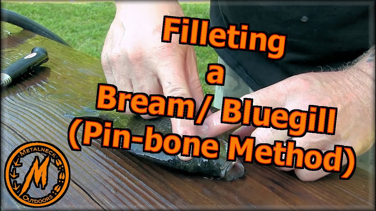 How to Fillet a Bluegill/ Bream using the Pin bone method