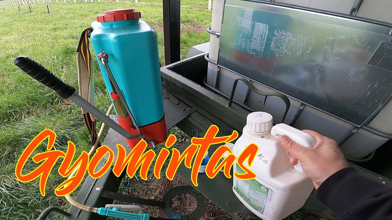 Tavaszi gyomirtás a diósban