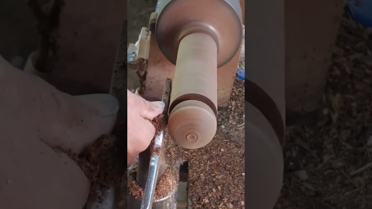 palm tree turning